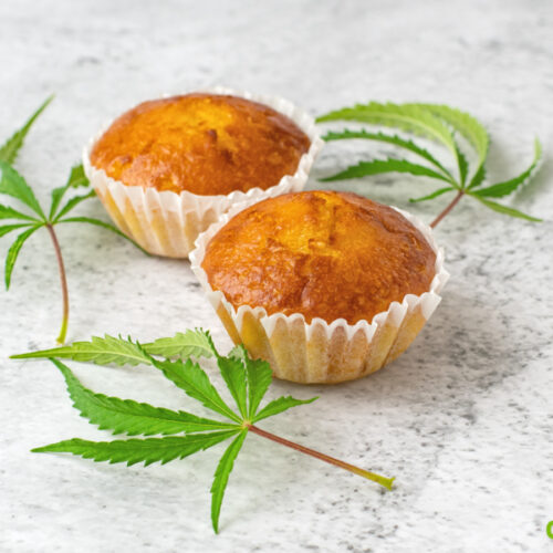 Cannabis Infused Vanilla Cupcakes