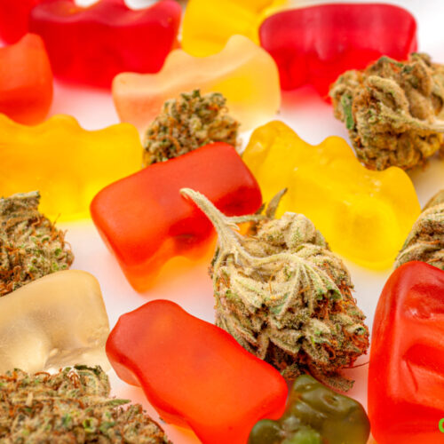 How to Make Weed Infused Gummy Bears